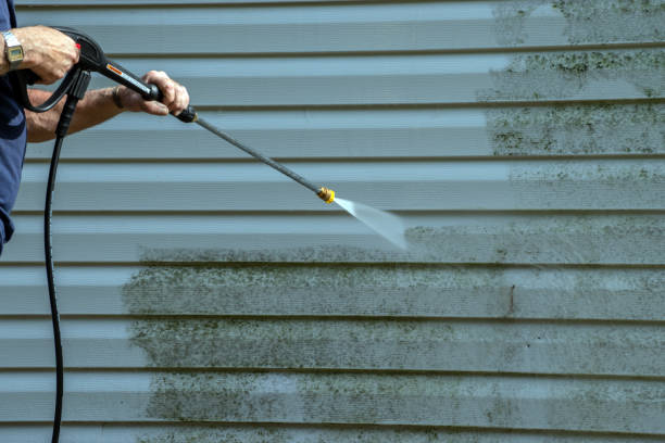 Best Building Exterior Pressure Washing in Gonzalez, FL